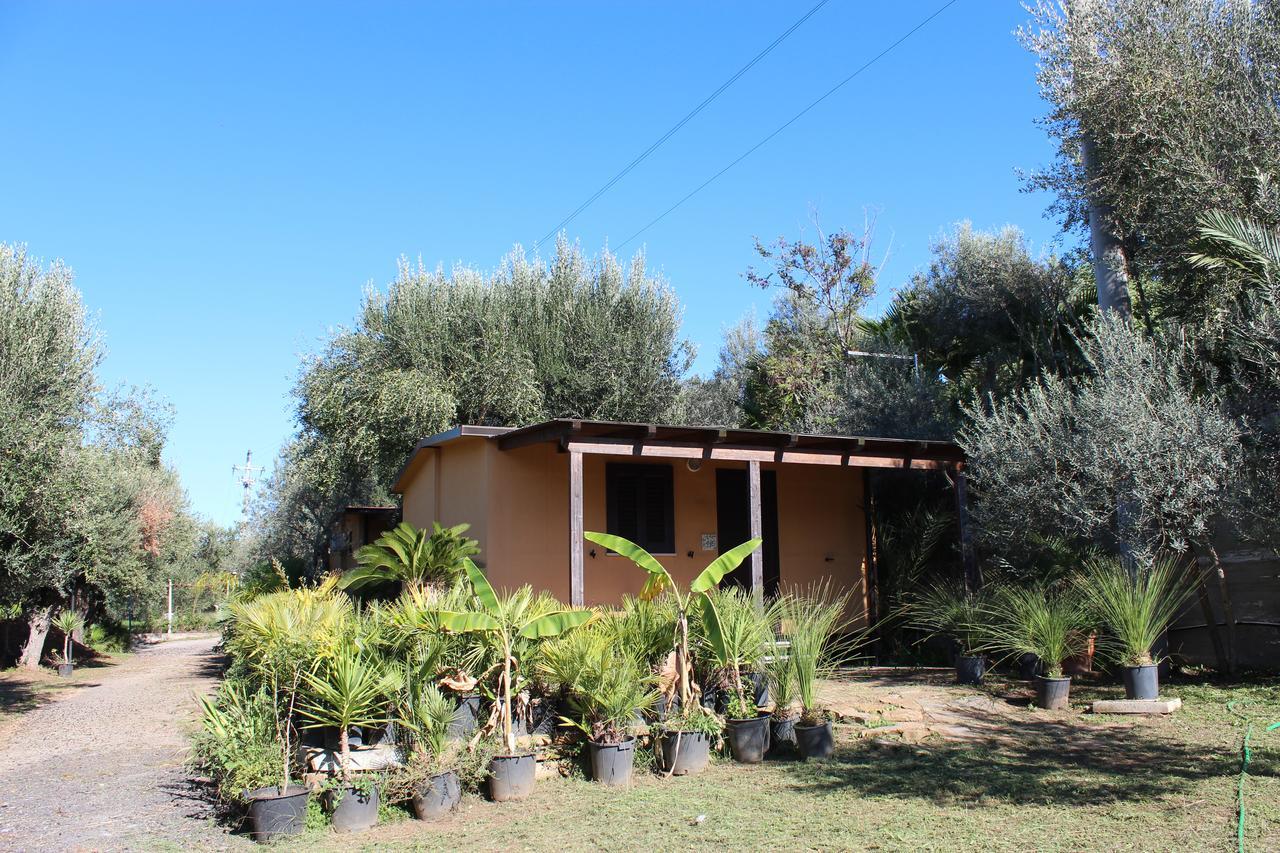 Residence Serrone Santa Maria di Castellabate Bagian luar foto