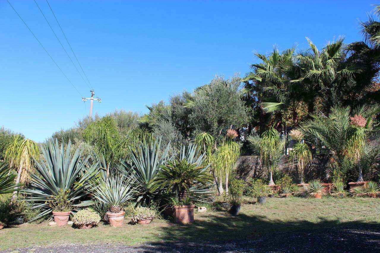 Residence Serrone Santa Maria di Castellabate Bagian luar foto