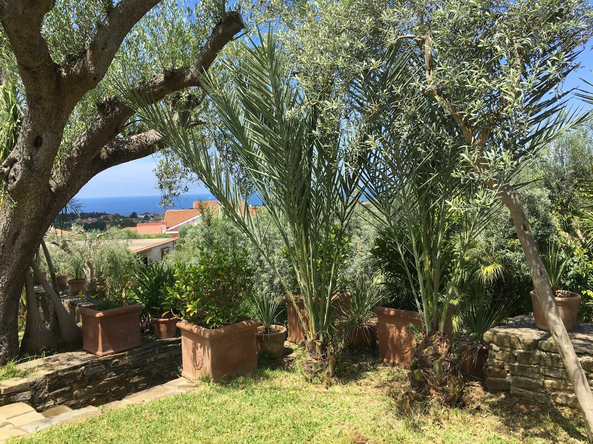 Residence Serrone Santa Maria di Castellabate Bagian luar foto